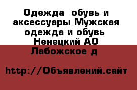 Одежда, обувь и аксессуары Мужская одежда и обувь. Ненецкий АО,Лабожское д.